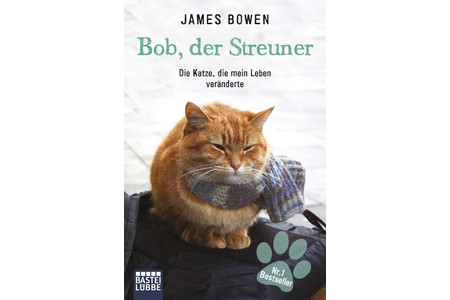 Отзыв на Уличный кот по имени Боб. Джеймс Боуэн